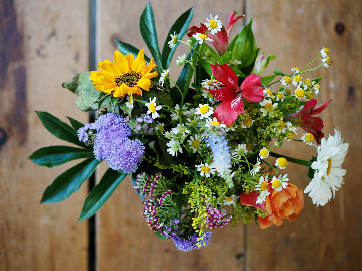 Flowers / Bulbs