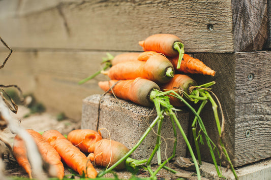 Organic Carrots