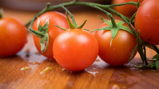 Gold Star Tomatoes